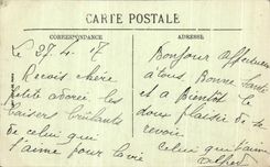 CPA the place of the Republic and the Belfort Castle