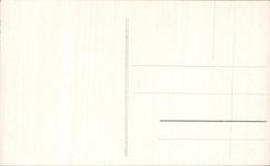 Pajaros de los ninos de la fantasia de CPA