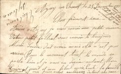 CPA Fantasy Man Flowers