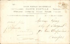 CPA Fantasy Man Flowers