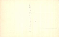 CPA Poetic Auvergne Beach Of the Lake Chambon