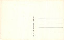 CPA Tours Vue Sur la Loire