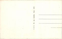 CPA Tours La cathedrale st Gatien 