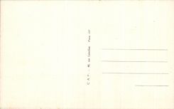 CPA Tours Le pont de pierre