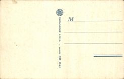 CPA Lourdes the Basilica