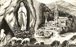 Heavy CPA the Basilica And Appearance