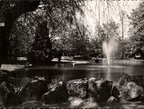 CPSM Nantes Le Jardin des Plantes