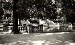 CPSM Dijon Garden Darcy