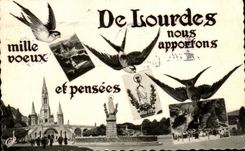 CPSM Of Lourdes Swallows