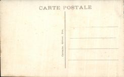 CPA Pau the National Castle