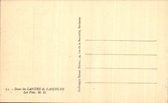 CPA In the Moors of Gascogne Pines