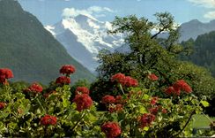 CPSM Interlaken Jungfrau