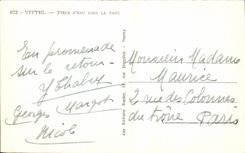 CPA Vittel Part Of Water In the Park Swan