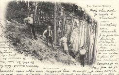 REPRO the High Vosges Schitteurs