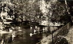 CPA Trawl-nets on the Marne of Jard the swan
