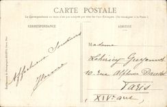 CPA Nice Jardin Des Palmiers Et Casino