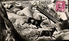 CPA Souvenir Of Chantilly Drives out Hinds Dog