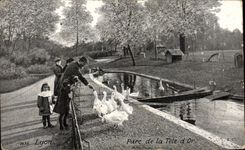 CPA Lyon Park of the Gold Head