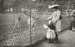 CPA Lyon Park of the TV of Gold Hind and children