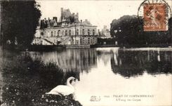 CPA Palate of Fontainebleau the Pond of the Carpi Swan