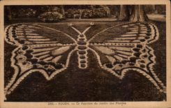 CPA Rouen the Butterfly of the Botanical garden