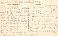 CPA Lourdes the Virgin couronnee and the Castle Fort