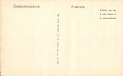 CPA Lourdes Esplanade Of the Virgin And the Basilica