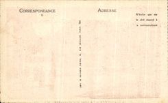 CPA Lourdes the Illuminee Basilica