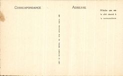 CPA Lourdes Entrance Of the Esplanade And the Basilica