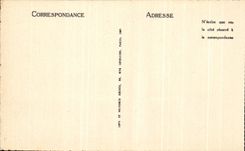 CPA Lourdes the Cave And the Basilica