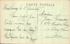 CPA Strasbourg Un Nid de Cigognes
