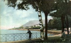 CPA Evian les Bains Terrace of the English garden