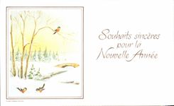 Deseos sinceros de la TARJETA MODERNA por el Ano Nuevo