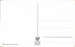 CPA Souvenir Of Geneva