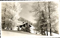 CPA La Prafandaz Melezes Givres Suisse