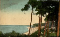 CPA Arcachon La Cote De Moulleau
