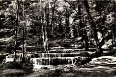 CPSM the High Picturesque Marne Cascades petrifying D' Etuf