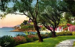 CPA La Cote D'Azur Jardins au bord de la Mer