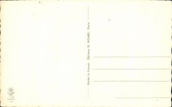 CPA Tiens les tourtereaux du troisieme ll l'appelle mon oiseau des iles