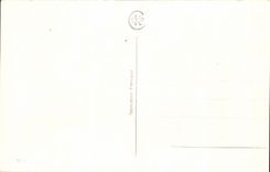 CPA flores suaves de un pensamiento