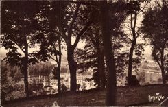 CPA Angouleme Au Jardin Public Angouleme 