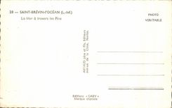 Mar del oceano de Brevin I del santo de CPA a traves de los pinos