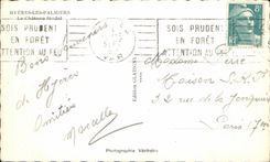 CPA Hyeres Palmiers Le Chateau