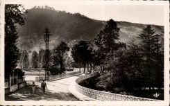 CPA Vic on Cere the Bridge and the Park