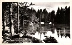 CPA ESA passy the green lsac and Mont Blanc