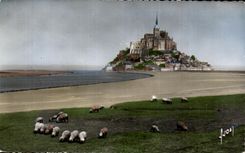 CPSM Mont Saint Michel View and Couesnon Sheep