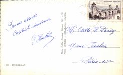 CPSM In Morvan Breeding Sheep