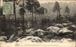 CPA Foret De Fontainebleau Entree of Serves of Apremont