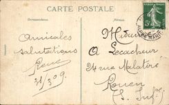 CPA Menton Allee of the Palm trees