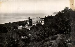CPA Environs d'Hyeres La cote Saint Salvadour